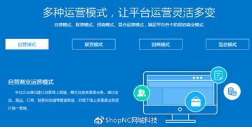 既B2C又B2B2C的移动电商模式,你了解多少