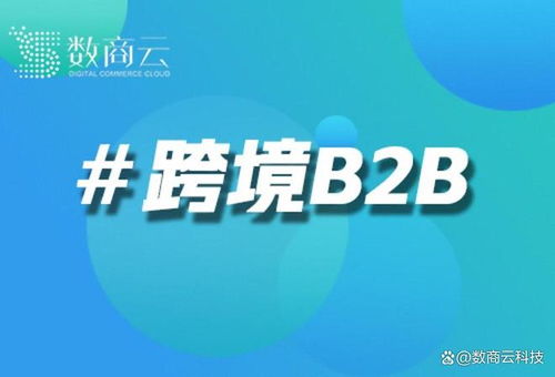 数商云b2b跨境电商系统解决方案 医疗器械企业通过智能清关系统,通关时间缩短70
