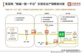 农产品B2B电商 资本聚焦下的百亿融资浪潮与系统建设